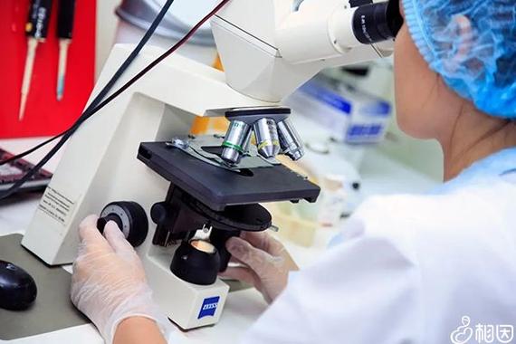 重庆天津试管婴儿单周期费用参考 2026最新花费明细