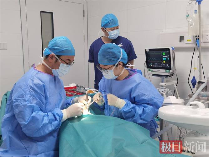 重庆90岁老人种牙行不行 医生说了大实话