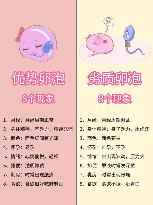 重庆卵子质量不好怎么办 备孕提高卵子质量的三步法