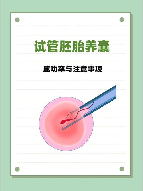 重庆囊胚培养是什么？试管成功的关键一步