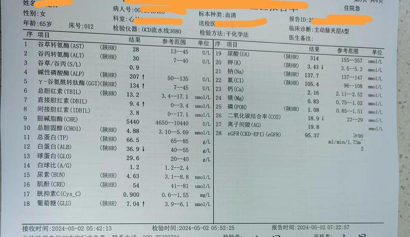 重庆香港验血能查出女孩吗？准确率到底高不高