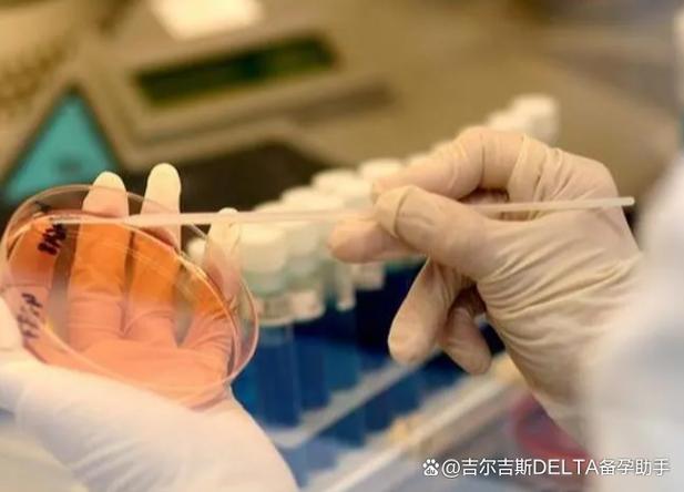 重庆胚胎活检会伤害胚胎吗 三代试管必看