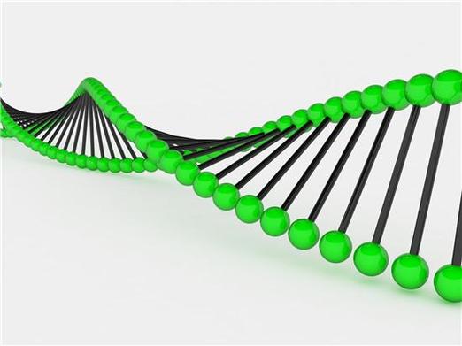重庆三代试管可以筛选基因吗？能查哪些遗传病、具体咋筛讲明白